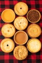 Vertical top view of a variety of mini tarts and pies