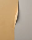 Vertical torn paper reveal with beige and gray contrast Royalty Free Stock Photo