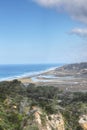 Vertical of Torrey Pines park along California coast