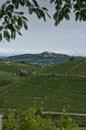 Vertical: Town & vineyards in Piedmont, Italy Royalty Free Stock Photo