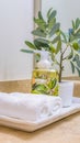 Vertical Tray with face towels hand soap and potted plant inside a clean bathroom Royalty Free Stock Photo