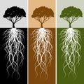 Vertical Tree Root Banner Set Royalty Free Stock Photo