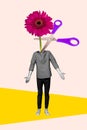 Vertical unusual collage image photo standing confused young man huge flower instead head scissors cutting plant drawing