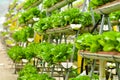 Urban farming technology