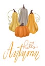 Vertical vector cozy card with yellow and gray pumpkins and lettering. Quote hello autumn. Autumn gardening banner with vegetables