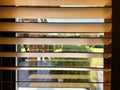 A vertical venetian blinds with a daylight through the window Royalty Free Stock Photo