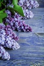 Vertical version  lilac flowers on vintage colored wood boads Royalty Free Stock Photo