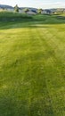 Vertical Vibrant fairway of a golf course with homes and mountain in the distance Royalty Free Stock Photo