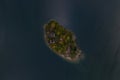 Vertical view from above of a small island in Lake Gruyere, Switzerland, in autumn. The island is covered with trees in