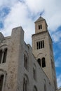 Vertical View of the Back Side of The Cathedral of San Basilio a