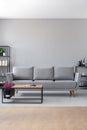 Big grey sofa and coffee table in scandinavian living room, real photo with copy space on the wall Royalty Free Stock Photo
