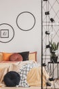 Vertical view of classy bedroom interior with colorful bedding and round pillows Royalty Free Stock Photo