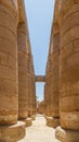 Vertical view of the columns of Karnak temple on a sunny day in Egypt