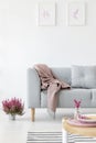 Vertical view of comfortable grey couch in bright living room interior with heather in pot and graphics i