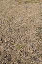 Vertical view of cracked soil in garden in countryside