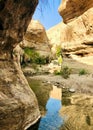 Vertical view of the creek between the cliffs of Ein Gedi Reserve on a sunny day