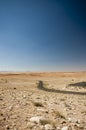 Vertical view of curvy road leading through desert. Royalty Free Stock Photo