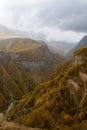 Vertical View Of Deep Mountain Gorge With River And Autumn Forest Royalty Free Stock Photo