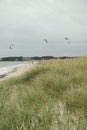 Vertical view of three kite surfers from the dunes