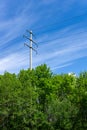 Vertical view of an electrical power line and lattice cross in a forest under a blue sky