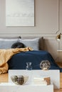 Vertical view of elegant blue, grey, gold and orange bedroom Royalty Free Stock Photo