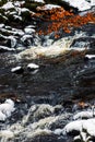 Vertical view of the foamy waves of a river flowing down the rocks in daylight in a forest Royalty Free Stock Photo