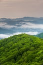 North Carolina Black Mountain Vertical Vista Royalty Free Stock Photo