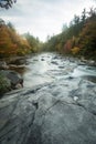 Vertical view of foliage and Swift River rapids, New Hampshire. Royalty Free Stock Photo