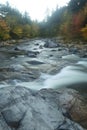 Vertical view of foliage and Swift River rapids, New Hampshire. Royalty Free Stock Photo