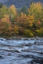 Vertical view of foliage and Swift River rapids, New Hampshire. Royalty Free Stock Photo