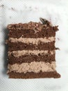 Vertical View of Four Layer Chocolate Cake Texture Royalty Free Stock Photo
