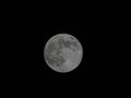 Vertical view of the full-moon illuminating the night sky Royalty Free Stock Photo