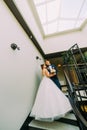 The vertical view of the happy newlyweds standing on the stairs. Royalty Free Stock Photo