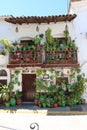 Vertical view. House with numerous plants in the square of Fuenteheridos, Huelva, Spain