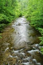 Vertical View of Jennings Creek a Popular Trout Stream Royalty Free Stock Photo