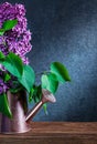 Vertical view lilac flowers in bronze watering can on black background Royalty Free Stock Photo