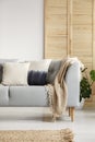 Vertical view of living room with grey sofa and beige carpet