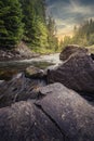 Mountain river in the forest at sunrise Royalty Free Stock Photo