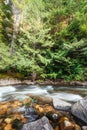 Mountain river in the forest at sunrise Royalty Free Stock Photo