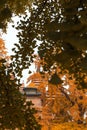 Vertical view of a pagoda temple visible through autumn Ginkgo leaves