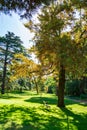 Vertical view of a park with bench, grass and trees, a sunny autumn morning