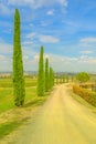 vineyards of winegrowing Tuscany