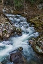 A Vertical View of a Popular Wild Mountains Trout Stream Royalty Free Stock Photo