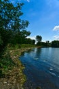 A vertical view of a river bank with many trees and grace with a background of blue sky with clouds in a summer sunny day Royalty Free Stock Photo