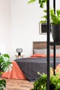 Vertical view of simple interior with urban jungle Royalty Free Stock Photo