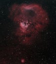 Vertical view of the skull nebula in space view in the RGB palette Royalty Free Stock Photo