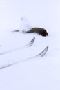 Vertical view of smiling Snowman on a rock and skis in a snowed background.