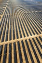 Vertical View of Solar Array