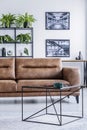 Vertical view of spacious living room with comfortable leather settee, coffee table and industrial posters Royalty Free Stock Photo