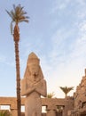 Vertical view of the statue of Ramses II in the temple of Amun-RA in Karnak, Egypt with a palm tree behind